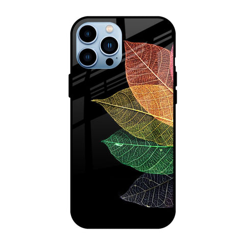 Colorful Leaves iPhone 13 Pro Glass Back Cover Online