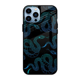 Serpentine iPhone 13 Pro Glass Back Cover Online