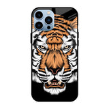 Angry Tiger iPhone 13 Pro Glass Back Cover Online