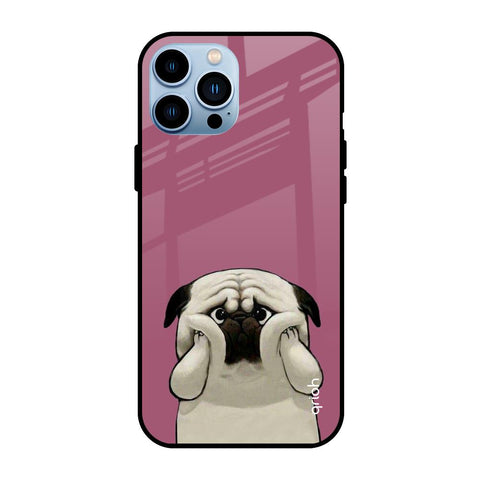 Funny Pug Face iPhone 13 Pro Glass Back Cover Online