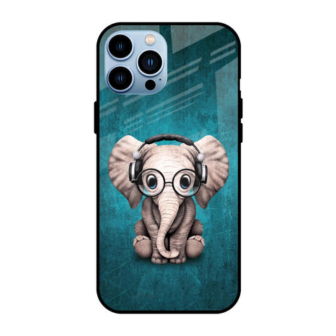 Adorable Baby Elephant iPhone 13 Pro Glass Back Cover Online