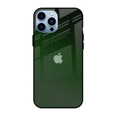 Deep Forest iPhone 13 Pro Glass Back Cover Online