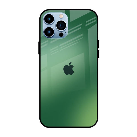 Green Grunge Texture iPhone 13 Pro Glass Back Cover Online