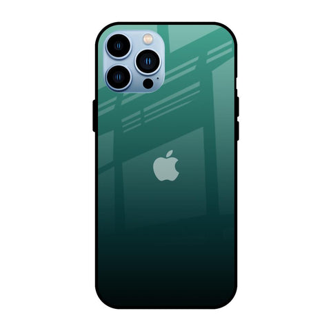 Palm Green iPhone 13 Pro Glass Back Cover Online