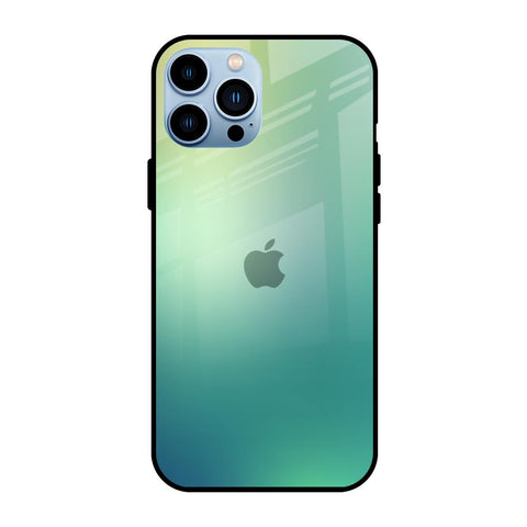 Dusty Green iPhone 13 Pro Glass Back Cover Online