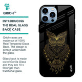 Golden Owl Glass Case for iPhone 13 Pro
