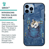 Kitty In Pocket Glass Case For iPhone 13 Pro