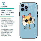 Adorable Cute Kitty Glass Case For iPhone 13 Pro