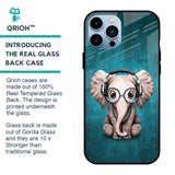 Adorable Baby Elephant Glass Case For iPhone 13 Pro