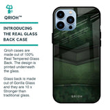 Green Leather Glass Case for iPhone 13 Pro