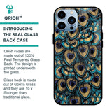 Peacock Feathers Glass case for iPhone 13 Pro