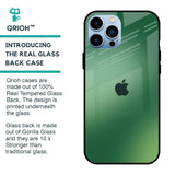 Green Grunge Texture Glass Case for iPhone 13 Pro