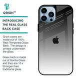 Zebra Gradient Glass Case for iPhone 13 Pro