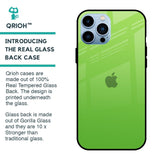 Paradise Green Glass Case For iPhone 13 Pro