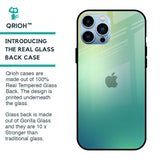 Dusty Green Glass Case for iPhone 13 Pro