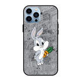 Cute Baby Bunny iPhone 13 Pro Max Glass Back Cover Online
