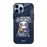 Struggling Panda Apple iPhone 13 Pro Max Glass Cases & Covers Online