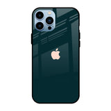 Hunter Green iPhone 13 Pro Max Glass Cases & Covers Online