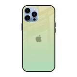 Mint Green Gradient iPhone 13 Pro Max Glass Back Cover Online