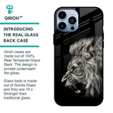 Brave Lion Glass case for iPhone 13 Pro Max