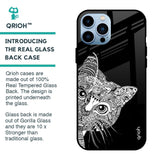 Kitten Mandala Glass Case for iPhone 13 Pro Max