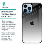 Zebra Gradient Glass Case for iPhone 13 Pro Max