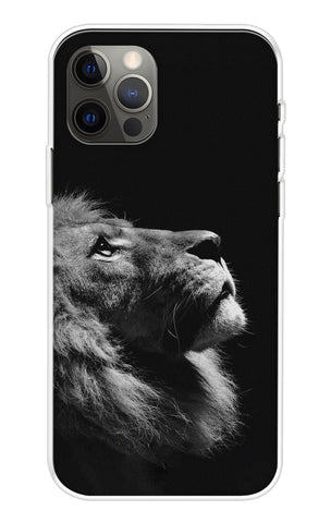 Lion Looking to Sky iPhone 13 Pro Max Back Cover