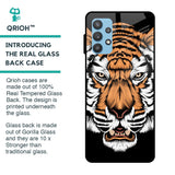 Angry Tiger Glass Case For Samsung Galaxy A52s