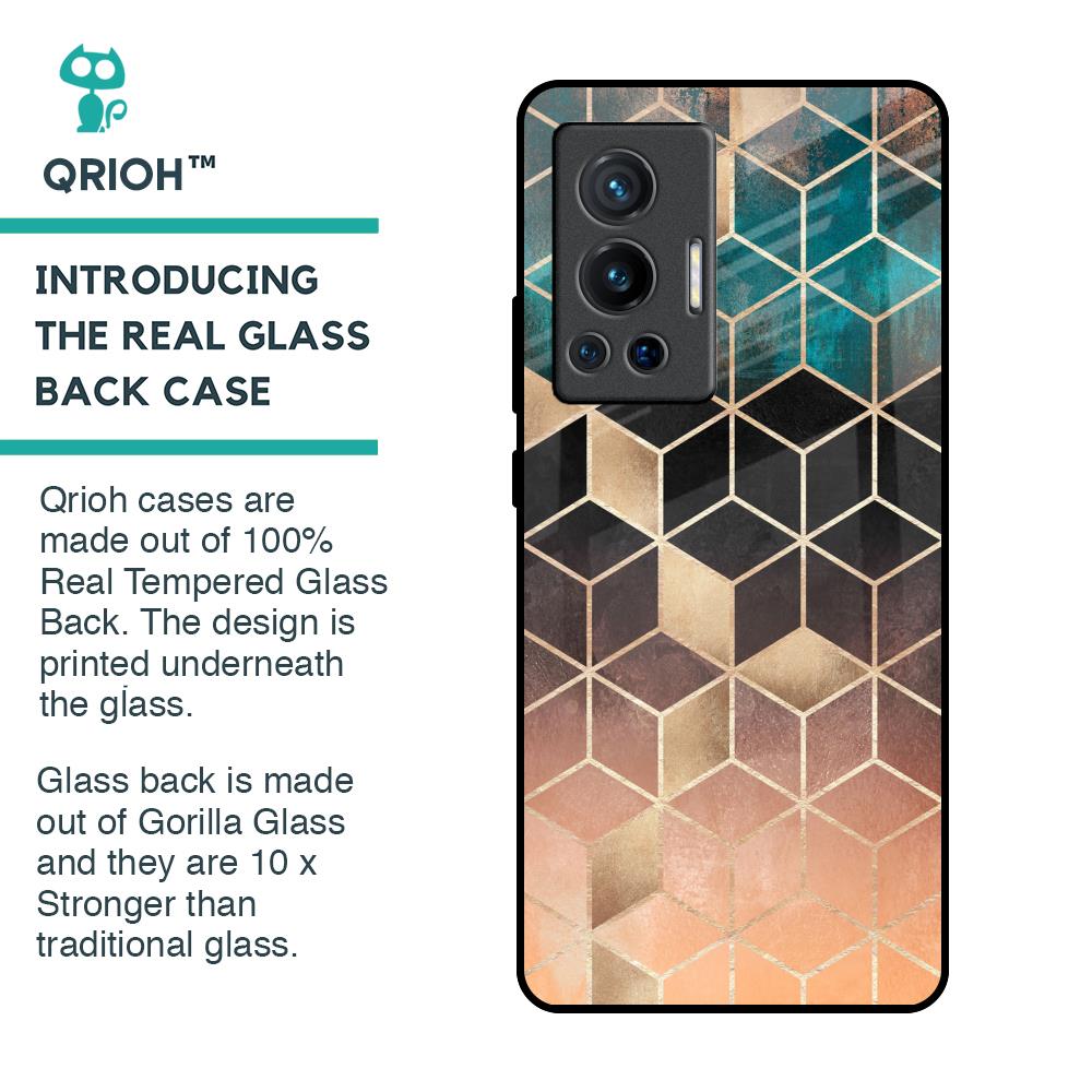 Bronze Texture Glass Case for Vivo X70 Pro