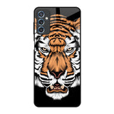 Angry Tiger Samsung Galaxy M52 5G Glass Back Cover Online