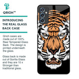 Angry Tiger Glass Case For Samsung Galaxy M52 5G