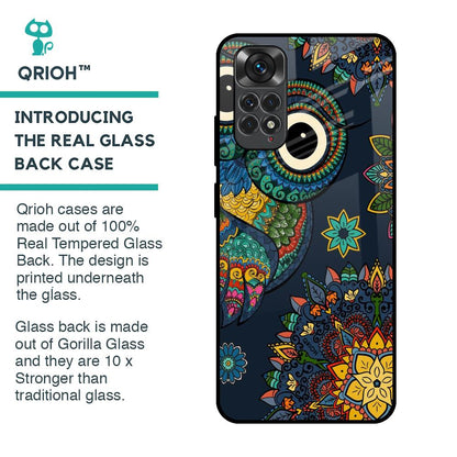Owl Art Glass Case for Redmi Note 11S