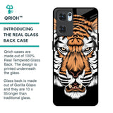 Angry Tiger Glass Case For Oppo Reno7 5G