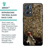 Rain Festival Glass Case for Oppo Reno7 Pro 5G