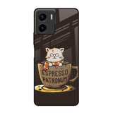 Tea With Kitty Vivo Y15s Glass Back Cover Online