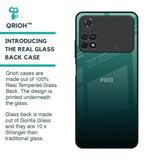 Palm Green Glass Case For Poco M4 Pro