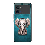 Adorable Baby Elephant iQOO 9 Pro Glass Back Cover Online