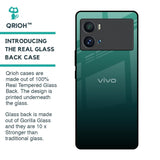 Palm Green Glass Case For iQOO 9 Pro