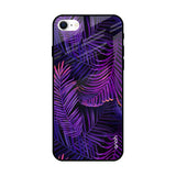 Plush Nature iPhone SE 2022 Glass Back Cover Online
