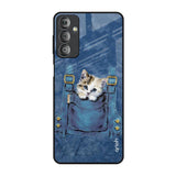 Kitty In Pocket Samsung Galaxy F23 5G Glass Back Cover Online