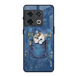 Kitty In Pocket OnePlus 10 Pro Glass Back Cover Online