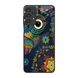 Owl Art Samsung Galaxy A13 Glass Back Cover Online