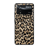 Leopard Seamless Poco X4 Pro 5G Glass Cases & Covers Online