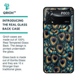 Peacock Feathers Glass case for Poco X4 Pro 5G