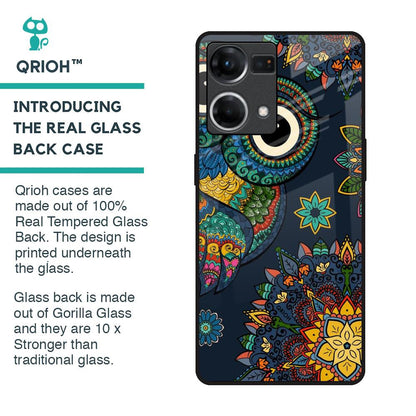 Owl Art Glass Case for OPPO F21 Pro