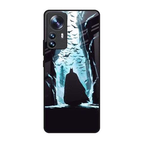 Dark Man In Cave Mi 12 Pro 5G Glass Back Cover Online