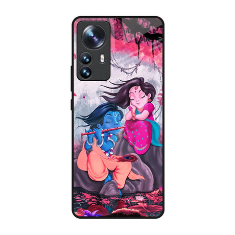 Radha Krishna Art Mi 12 Pro 5G Glass Back Cover Online