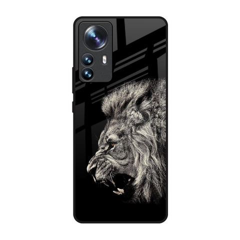 Brave Lion Mi 12 Pro 5G Glass Back Cover Online