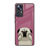 Funny Pug Face Mi 12 Pro 5G Glass Back Cover Online