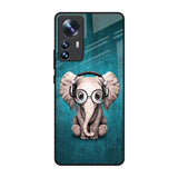 Adorable Baby Elephant Mi 12 Pro 5G Glass Back Cover Online